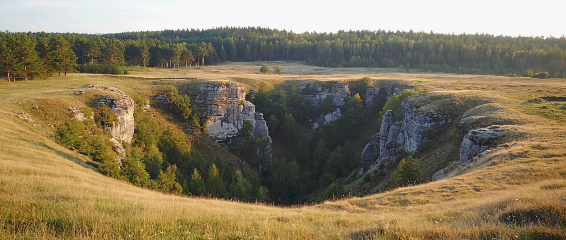 Karst-Doline mit dichtem Bewuchs und Kalkstein-Aufschluss auf der Schwäbischen Alb